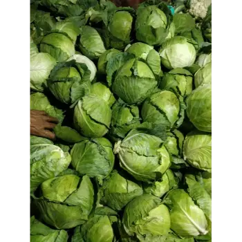 cabbage (18)-3749344-3820.webp